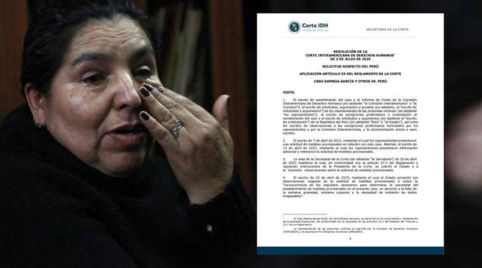 Ley APCI: Corte Interamericana de DDHH garantiza el derecho de la defensa de víctimas
